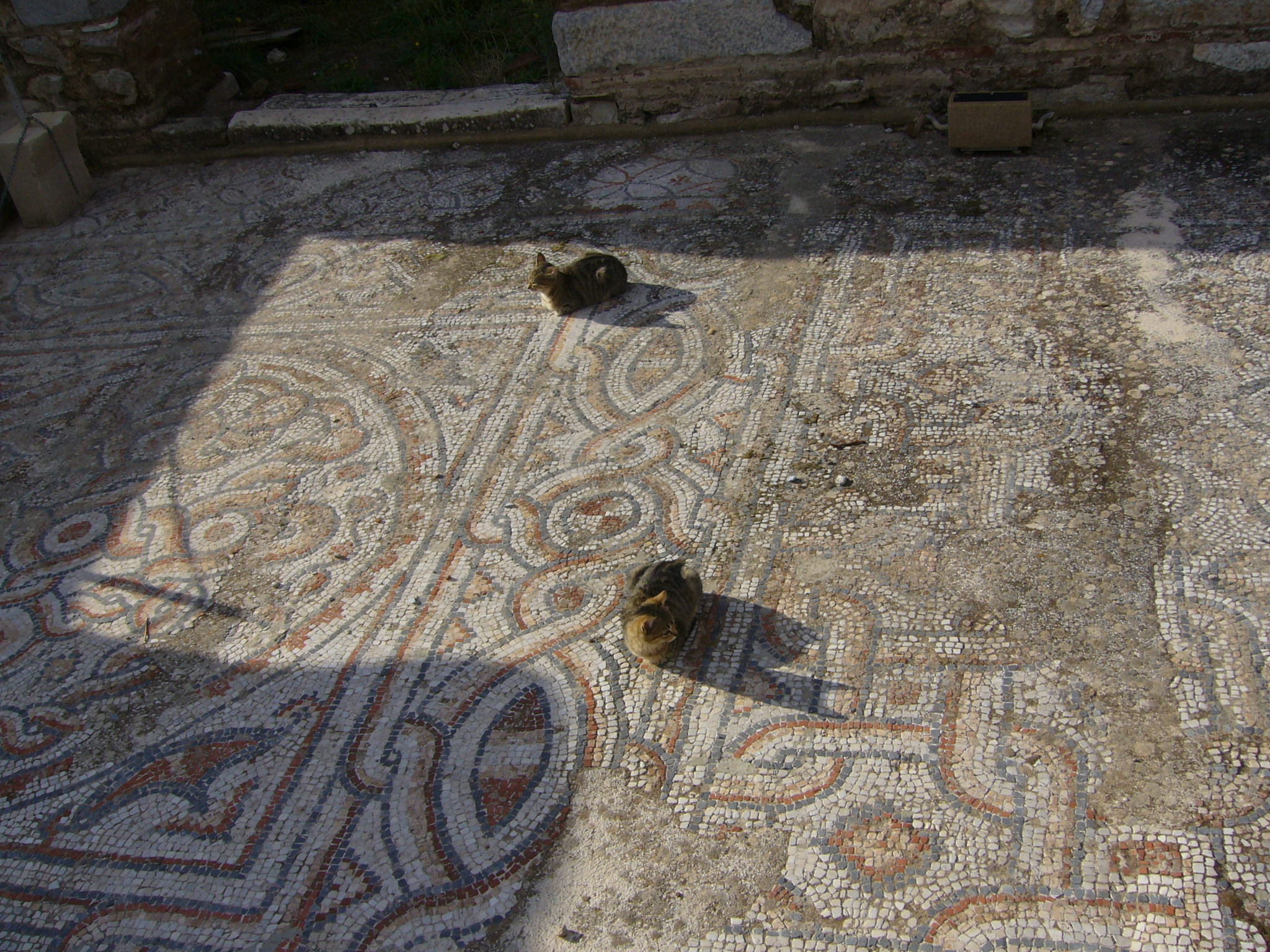 P1020126.JPG