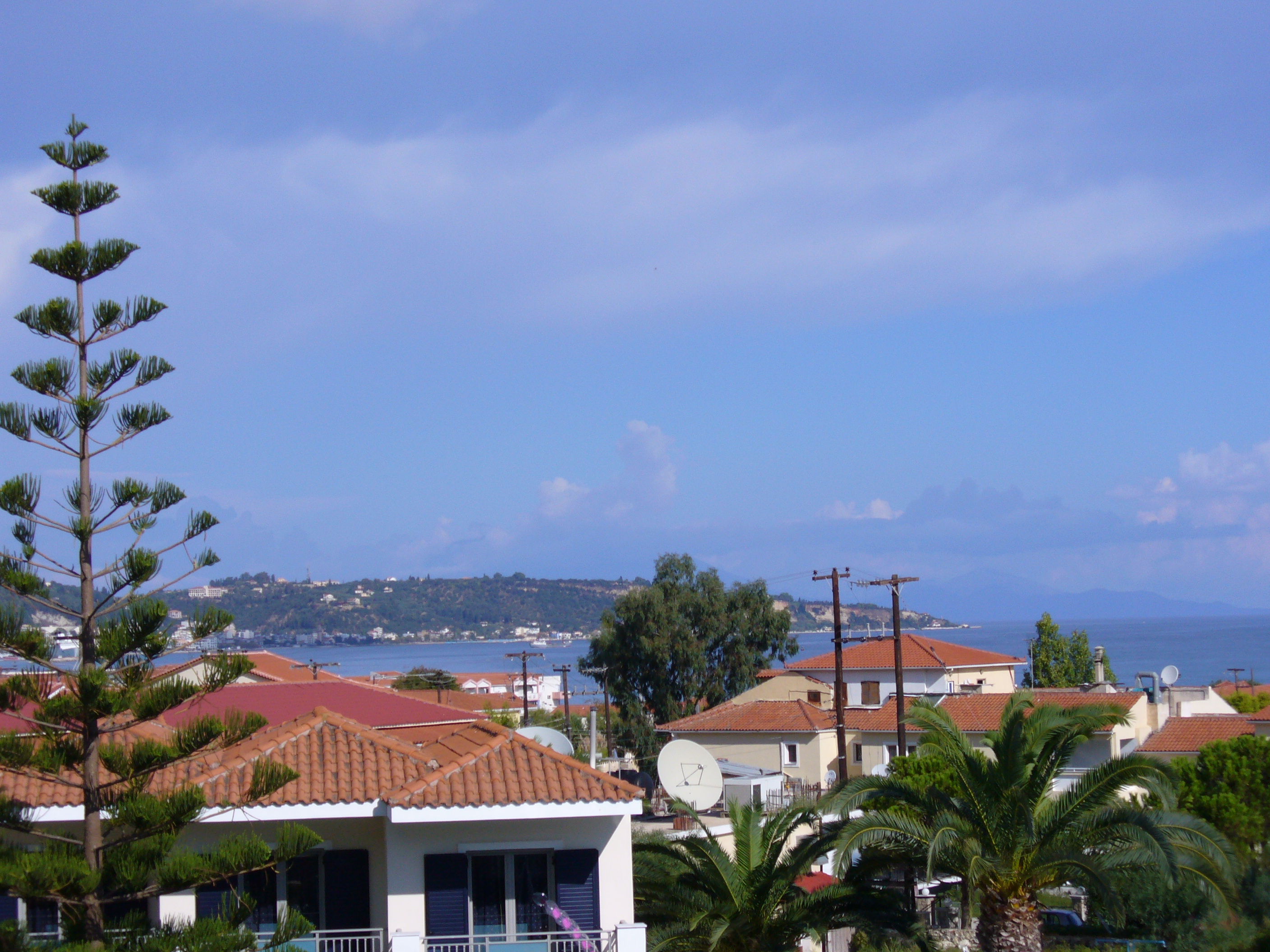 P1000261.JPG